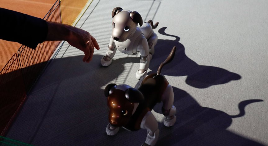 Роботизиран домашен любимец разработват от български стартъп