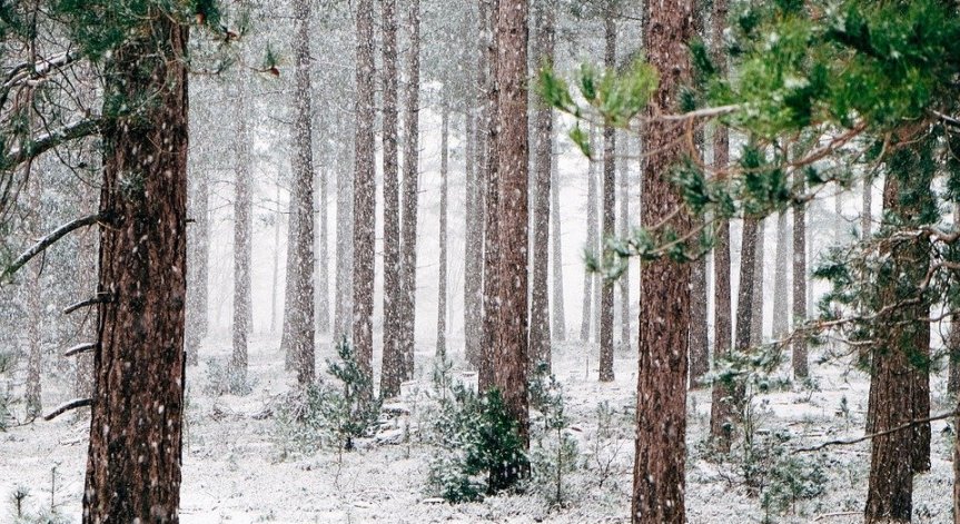 Какво време да очакваме през декември?
