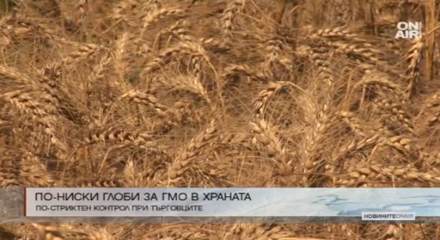 Промени в закона предвиждат по-ниски глоби за ГМО в храната