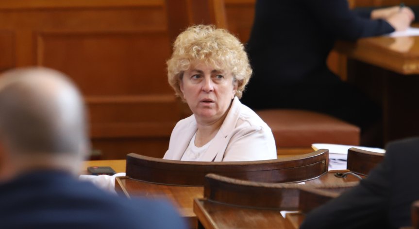 Василева напусна НС: Казвам 