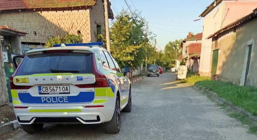Куче разкъса и обезобрази 6-годишно дете в Казанлъшко