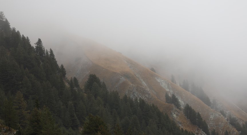 Откриха обявен за починал мъж в Национален парк 