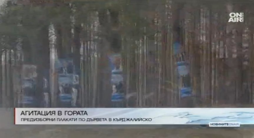 Дървета в Кърджалийско бяха облепени с плакати на партии