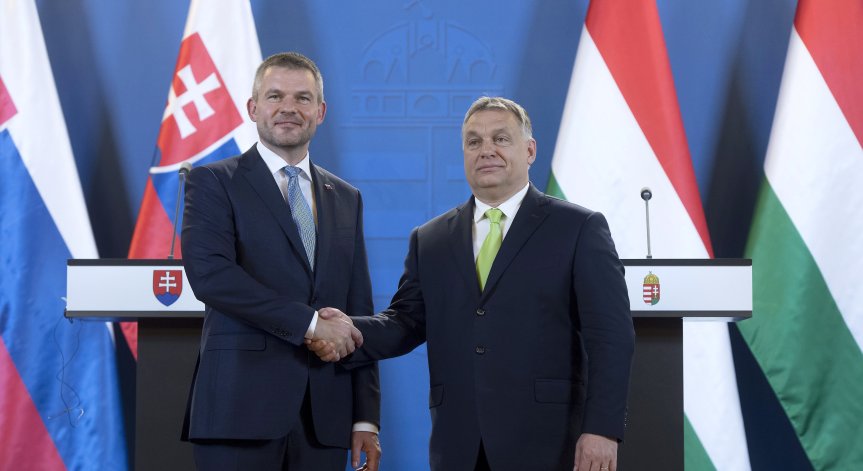 Без Истанбулска конвенция в Словакия, отхвърлиха я с мнозинство