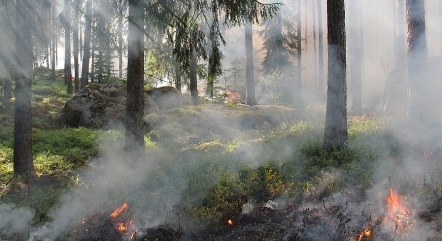 Евакуираха хотел и къмпинг в Гърция заради пожар