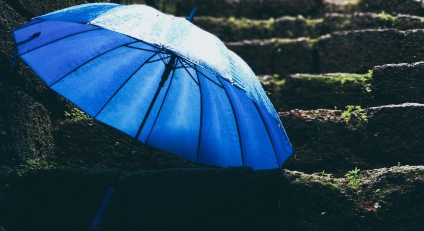 Снимка: Pexels.com