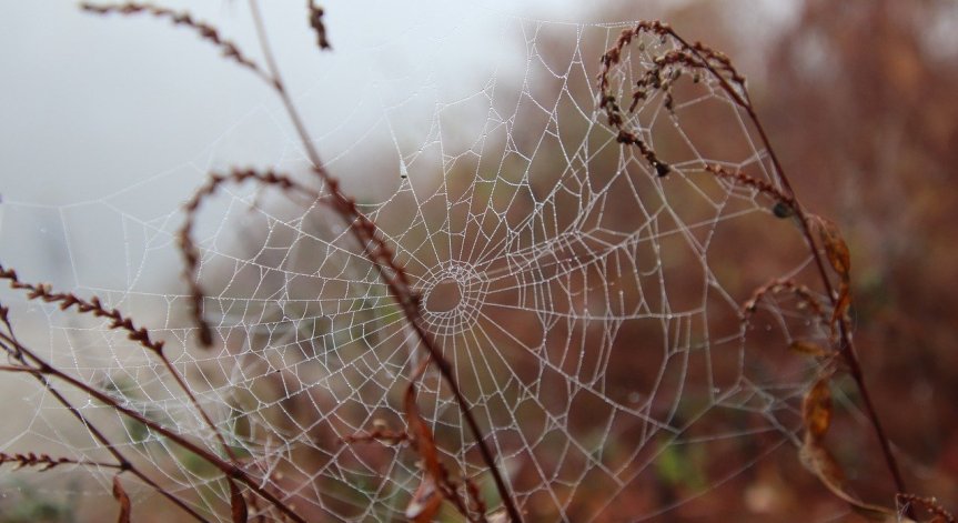Повече облаци ще има по Черноморието.
