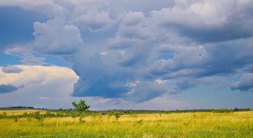 Времето в неделя: Жълт код за валежи е обявен в цялата страна