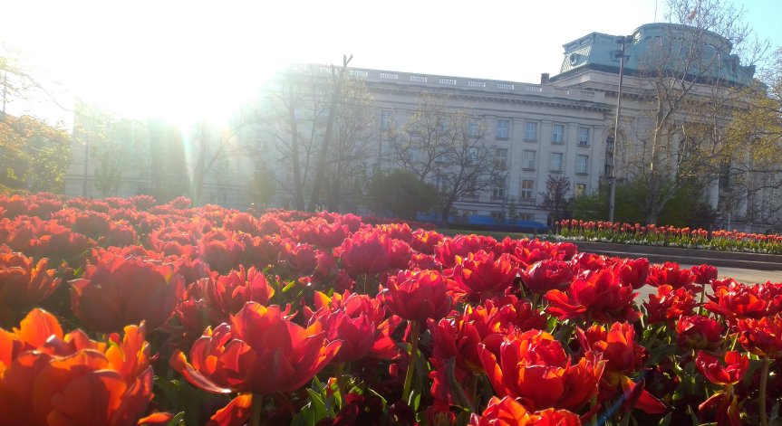 Слънчево неделно утро, следобед - дъжд и гръмотевици над Западна и Централна България