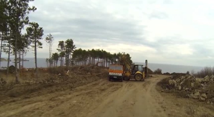 Отново строеж на морето: Изсича се боровата гора край къмпинг 