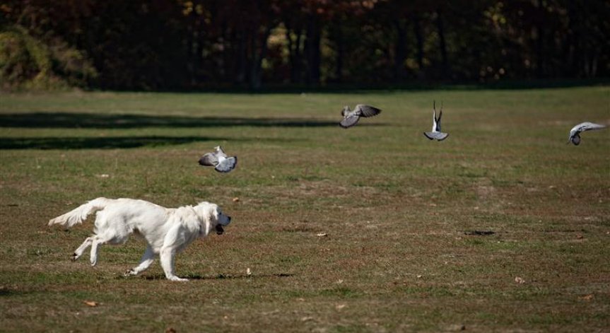 Промяна във времето - НИМХ издаде жълт код за вторник (+КАРТА)