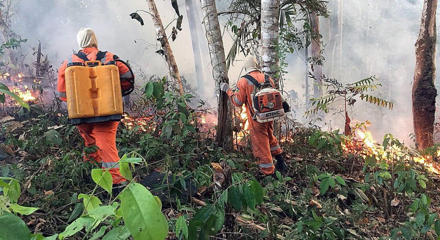 Пагубно: Амазонската гора е застрашена от хиляди пожари