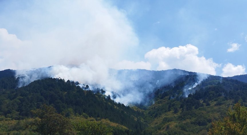 Според местните жители има извършено престъпление.