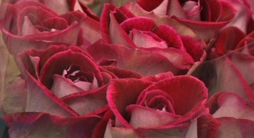 Направено с любов