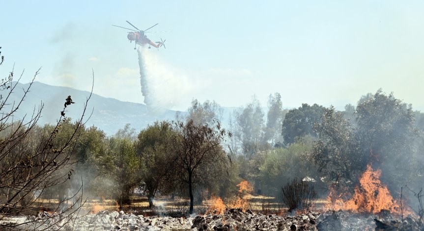 Редица пожари в Албания и Гърция, температурите надвишават 40°C