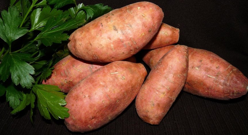 Защо консумацията на сладки картофи е полезна?