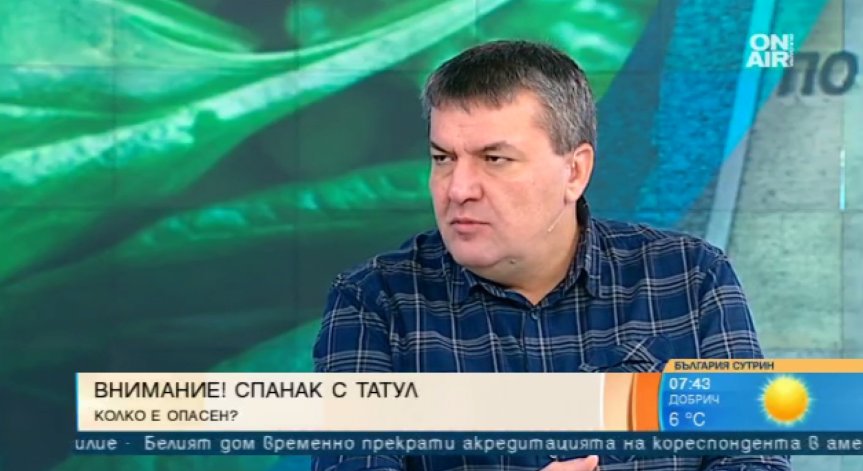 Спанак с отровен татул? Няма ясни доказателства, посочи микробиолог