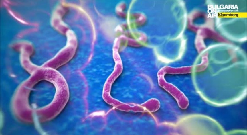 САЩ изпращат в Либерия експериментална ваксина срещу смъртоносния вирус Ебола