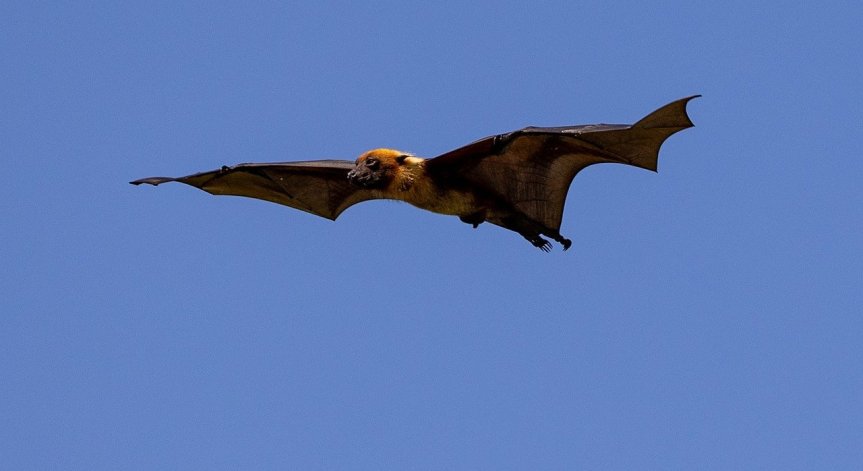 Учените ще извършат още изследвания.