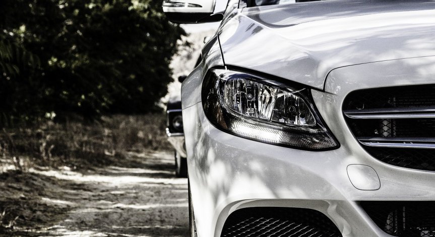 Зеленият цвят си проправя път.