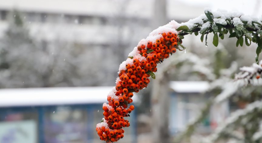 Ветровито и дъждовно ще е днес, започват снеговалежи в края на деня