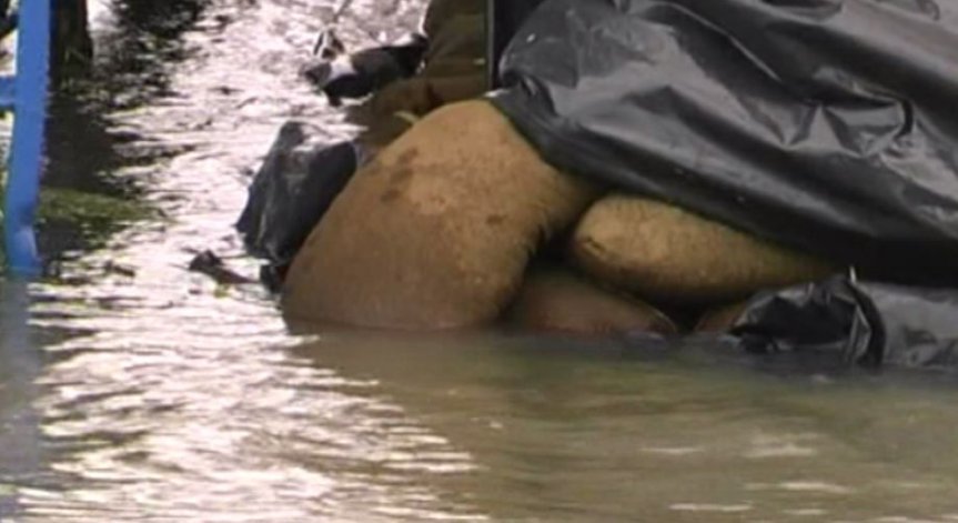 МОСВ предупреждава за значително покачване на водите на реки