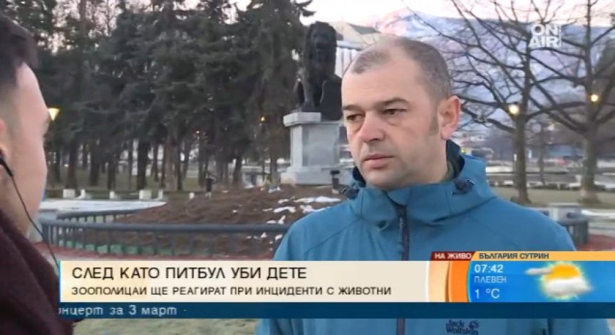 Четири лапи: Отговорността за случая в Мокрище е на родителите