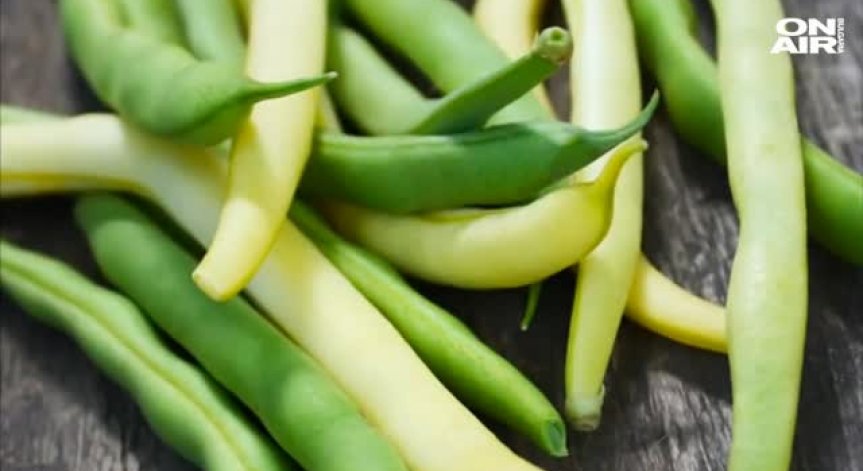 Полезно хранене в края на лятото: Сега е времето на зеления фасул!