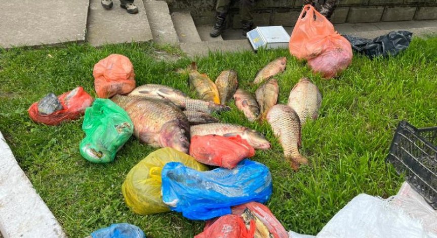 ИАРА с ударни проверки за незаконен риболов, дариха 100 кг риба, открита в автобус