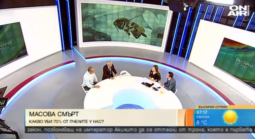 Масова смъртност на пчелите заради токсични пестициди