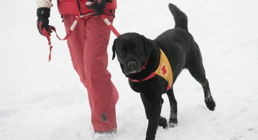 Планинските спасители стигнаха до ранения 70-годишен турист в Рила, сериозно контузен е