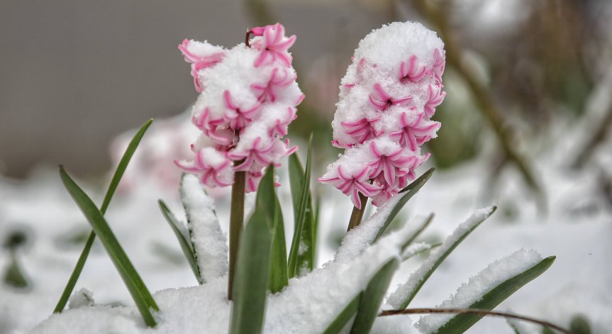 Времето днес: Облаци и валежи от дъжд и сняг