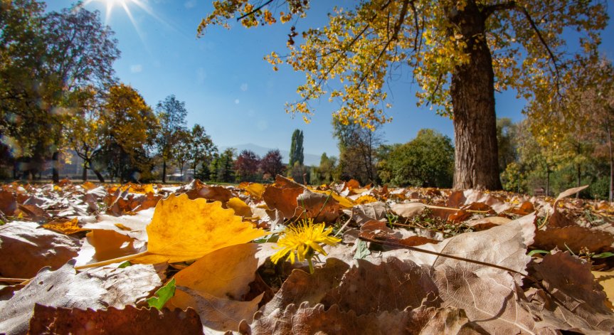 Уикендът започва със слънце, максималните температури ще са до 34°