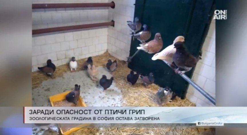 Зоопаркът в София остава затворен заради болните птици