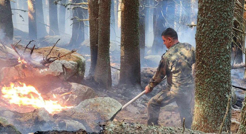 Пожарникари, горски служители, военнослужещи и доброволци се борят с огъня вече седем дни.
