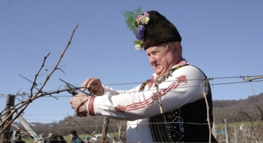 Трифон Зарезан или Свети Валентин?