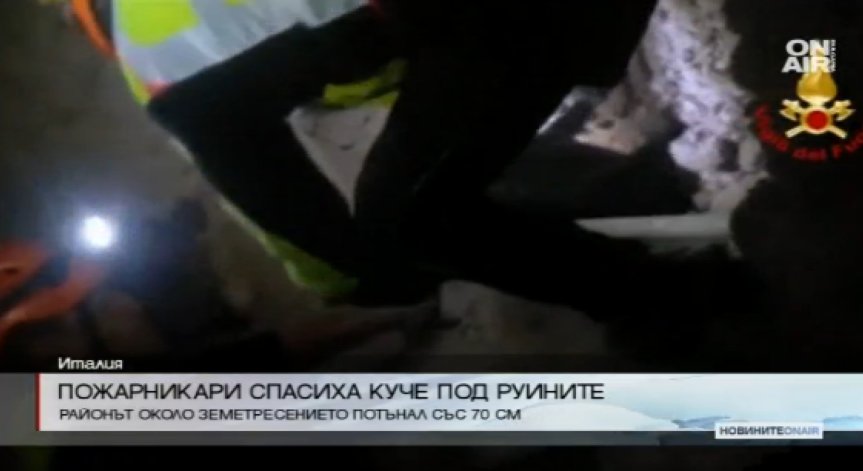 Пожарникари спасиха куче изпод отломките в Норча