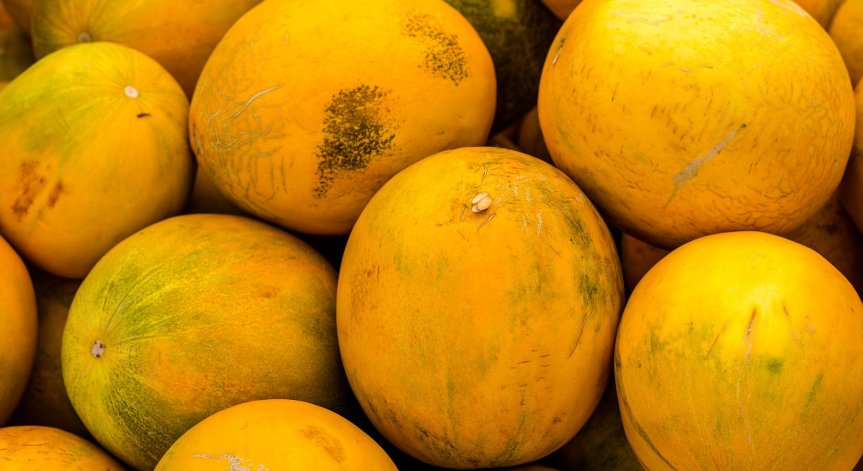 БАБХ успокои: Няма пъпеши със салмонела в търговската мрежа