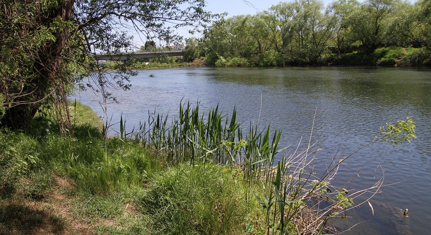 На място са изпратени спасителни екипи.