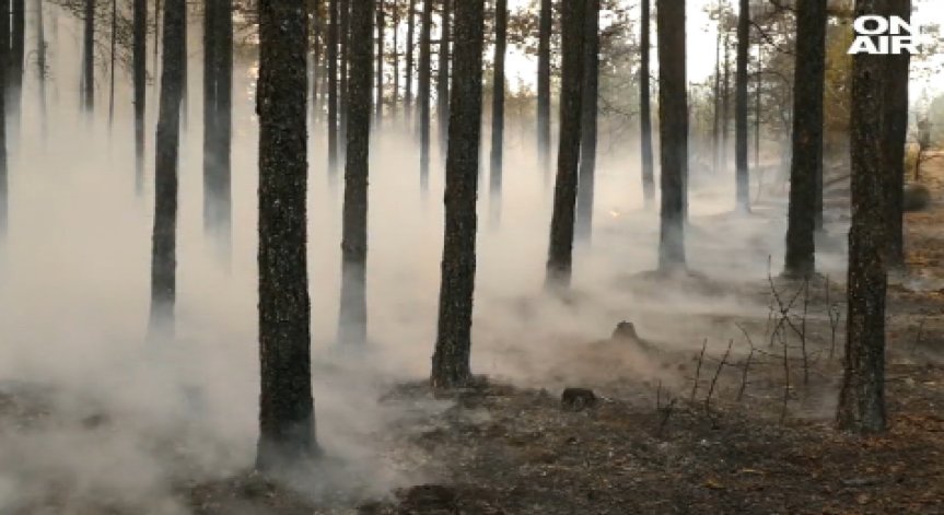 Обзор: Пожарът в Кресненското дефиле досега