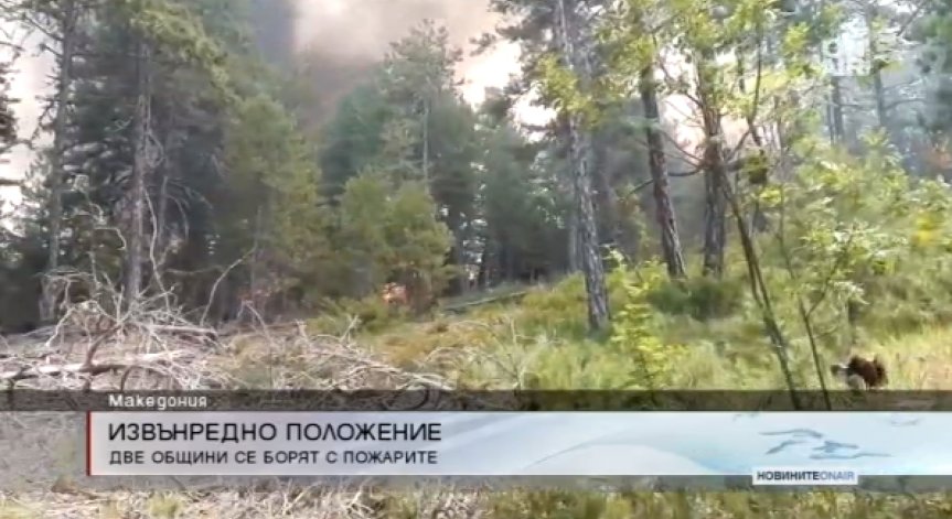 Пожари и в Македония: Две общини обявиха извънредно положение