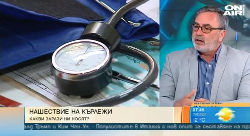 Нашествие на кърлежи в страната - как да се пазим?