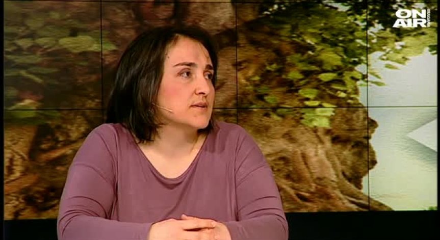 Незаконната сеч води до бедствия