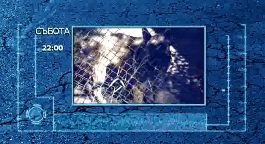 Къде и как се обучават полицейските кучета?