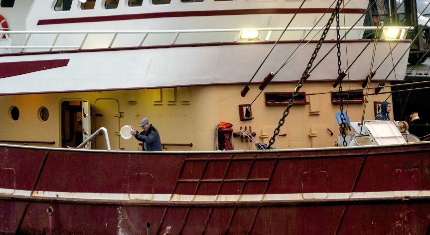 Гниеща риба, фалиращ бизнес и куп бюрокрация - последиците от Brexit за Острова