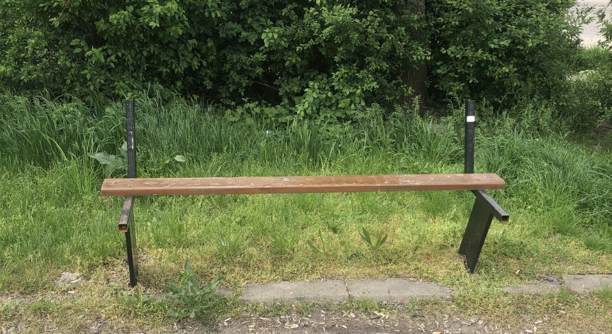 Столична градинка: Кърлежи, трева до колене, изпочупени пейки и кошчета