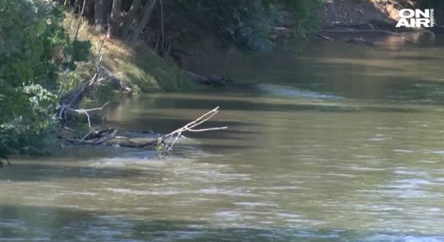 Отровните химикали в Марица са дошли от 