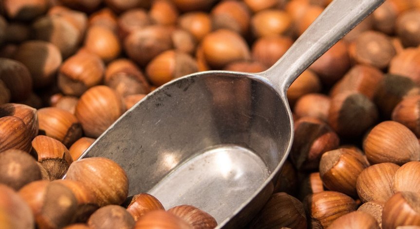 Намаляват риска от диабет: С какво са полезни лешниците?