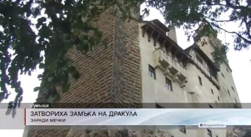 Затвориха замъка на Дракула заради мечки