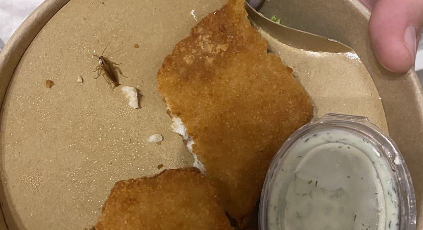 Все повече сигнали за некачествена храна.